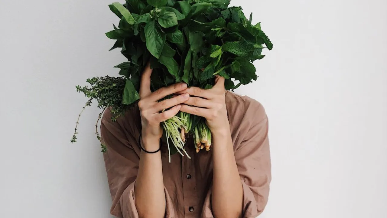 10 fausses idées sur les vegans !