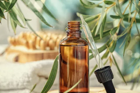 Huile essentielle d'eucalyptus