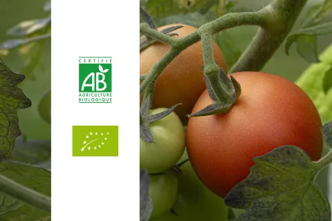 Label AB et bio : tout savoir sur la certification et ses engagements